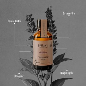 Upasanti 3 Subat Post