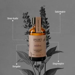 Upasanti 3 Subat Post