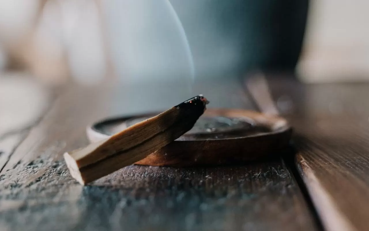 Palo Santo Nedir