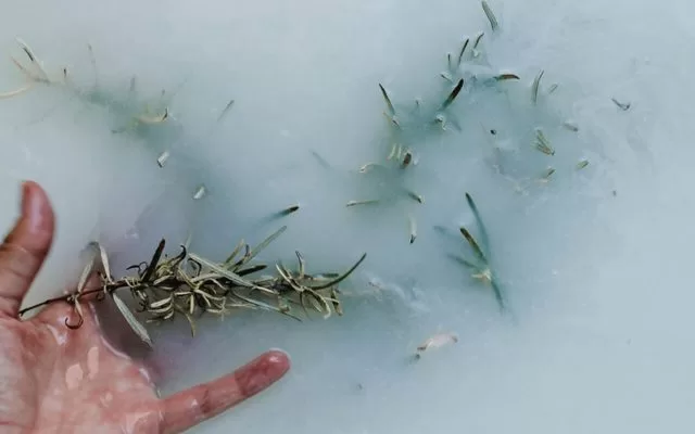 Aromaterapi İle Stresi Geride Bırak